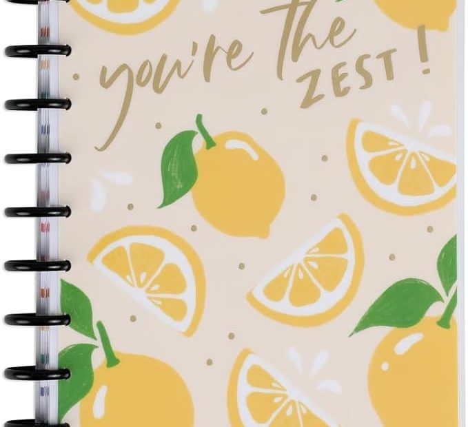 Happy Planner 2023 Daily Planner And Calendar