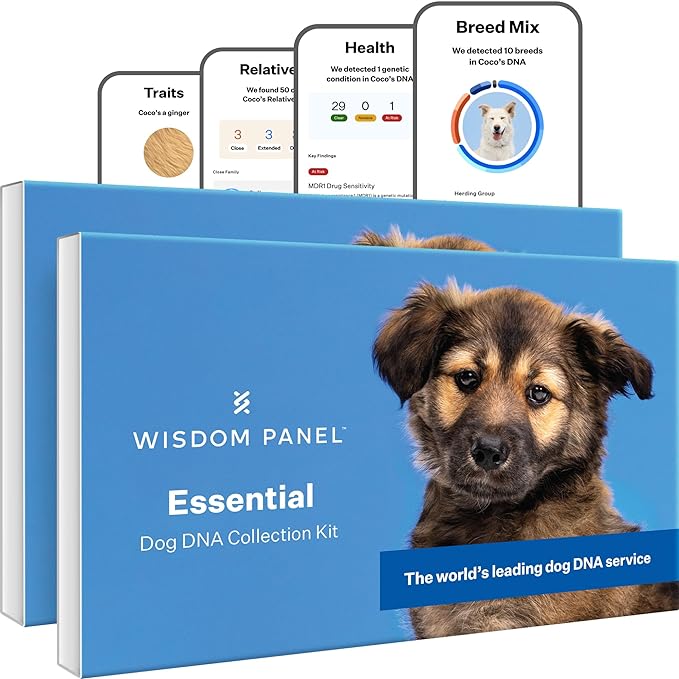 Wisdom Panel Essential Dog DNA Kit